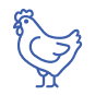 Broiler-Breeder